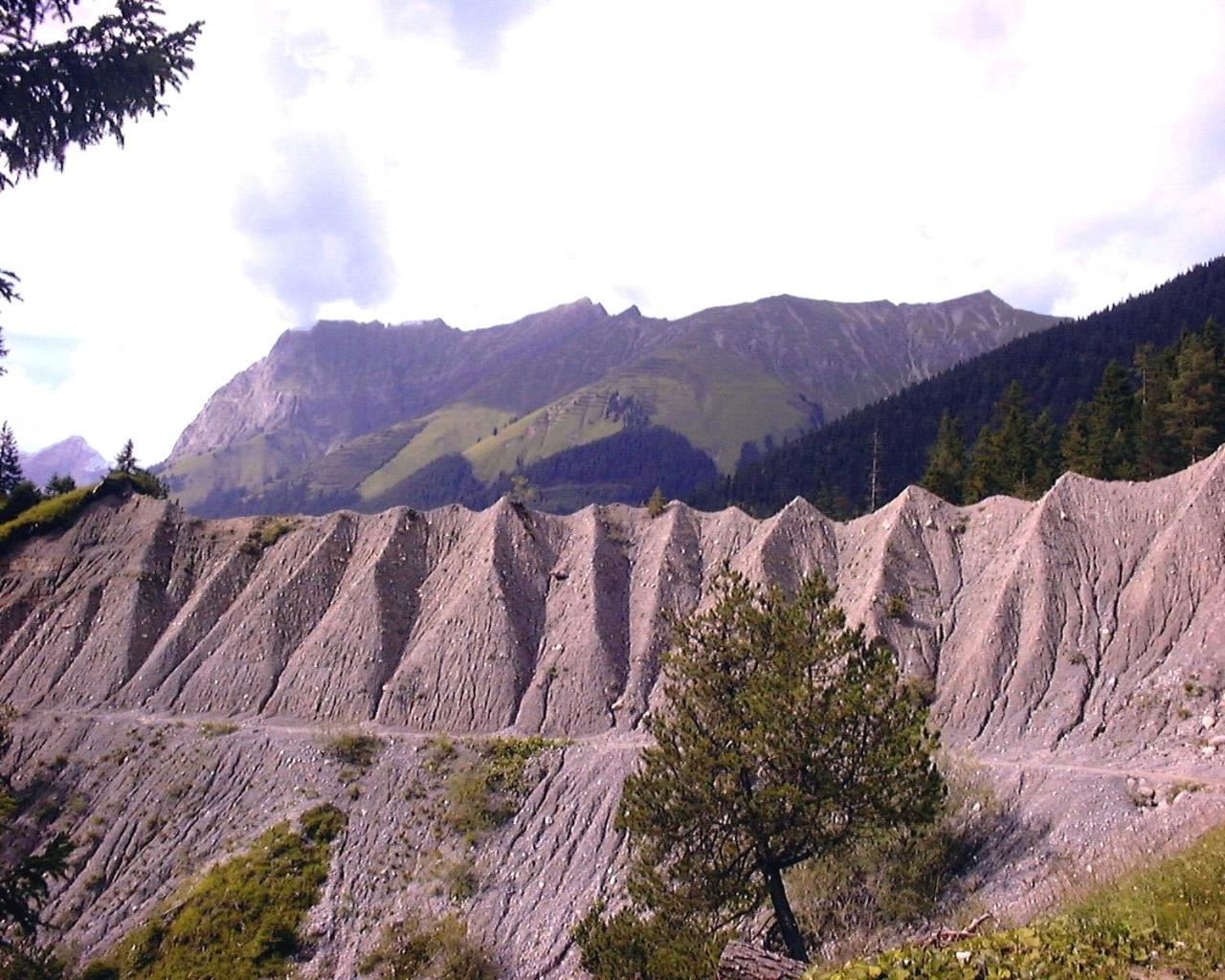 Bergheimat